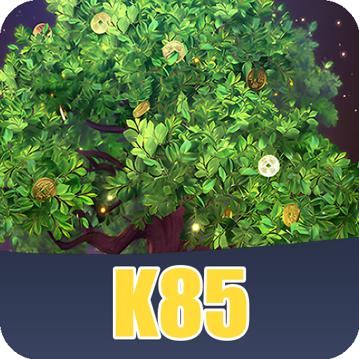 Formulário de Registro K85